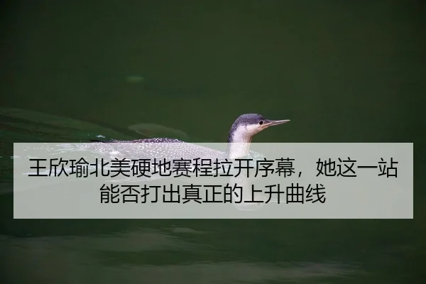 王欣瑜北美硬地赛程拉开序幕，她这一站能否打出真正的上升曲线